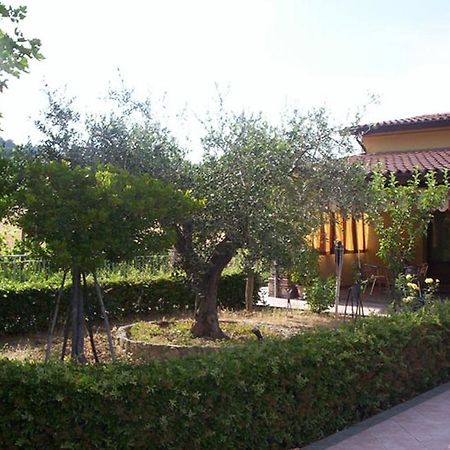 Agriturismo 7 Colonne Bertinoro Exterior foto