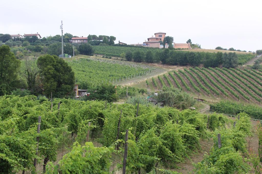 Agriturismo 7 Colonne Bertinoro Exterior foto